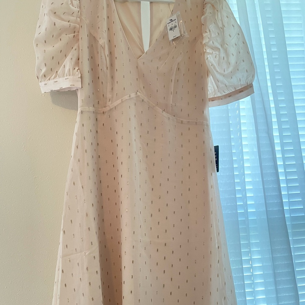 Express Peach Shimmer Dress